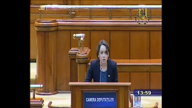 Luare de cuvânt privind bugetul României pe 2017